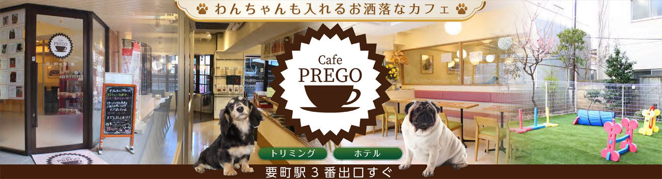 愛犬・愛猫との時間を、より幸せに過ごせるように無理のない、個性に合わせたトリミングを…