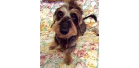 カワイイお写真がたくさん♪順次追加中