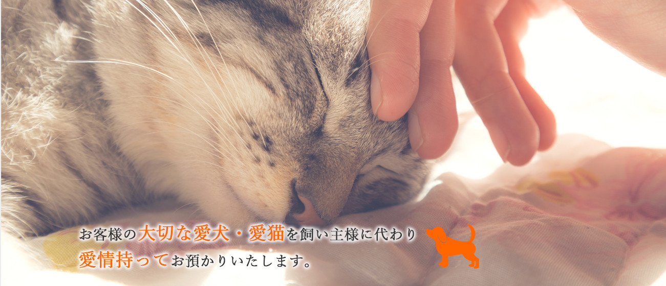 お客様の大切な愛犬・愛猫を飼い主様に代わり愛情持ってお預かりいたします。